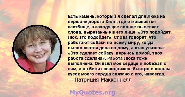 Есть камень, который я сделал для Люка на вершине дороги Хилл, где открывается пастбище, а заходящее солнце выделяет слова, вырезанные в его лице. «Это подойдет, Люк, это подойдет». Слова говорят, что работают собаки по 