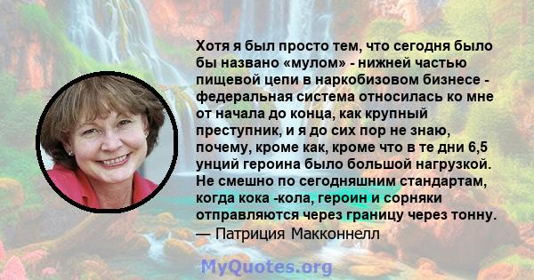 Хотя я был просто тем, что сегодня было бы названо «мулом» - нижней частью пищевой цепи в наркобизовом бизнесе - федеральная система относилась ко мне от начала до конца, как крупный преступник, и я до сих пор не знаю,