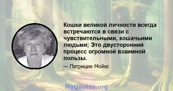 Кошки великой личности всегда встречаются в связи с чувствительными, кошачьими людьми; Это двусторонний процесс огромной взаимной пользы.