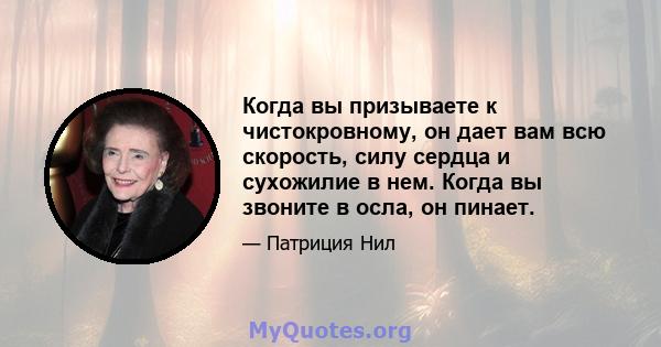 Когда вы призываете к чистокровному, он дает вам всю скорость, силу сердца и сухожилие в нем. Когда вы звоните в осла, он пинает.