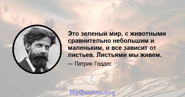 Это зеленый мир, с животными сравнительно небольшим и маленьким, и все зависит от листьев. Листьями мы живем.