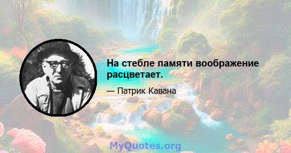 На стебле памяти воображение расцветает.