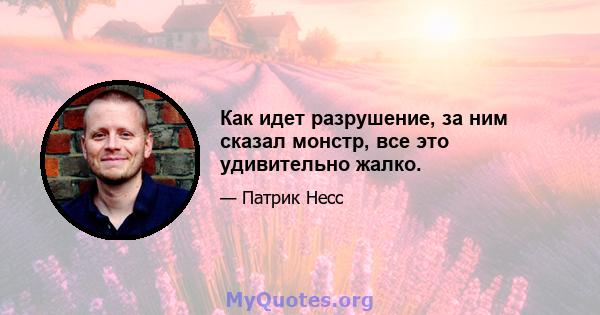 Как идет разрушение, за ним сказал монстр, все это удивительно жалко.