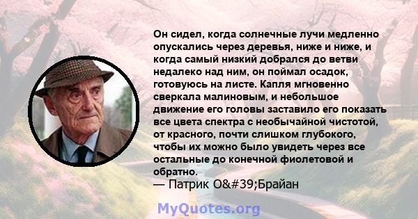 Он сидел, когда солнечные лучи медленно опускались через деревья, ниже и ниже, и когда самый низкий добрался до ветви недалеко над ним, он поймал осадок, готовуюсь на листе. Капля мгновенно сверкала малиновым, и