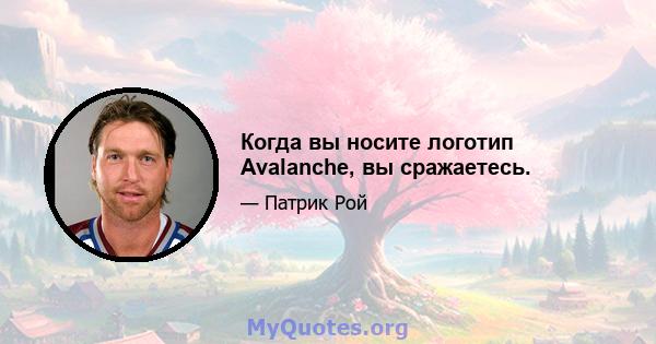 Когда вы носите логотип Avalanche, вы сражаетесь.