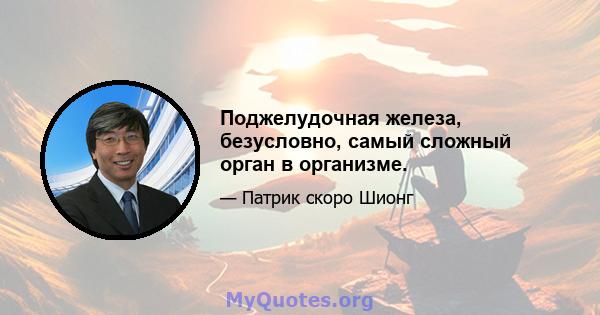 Поджелудочная железа, безусловно, самый сложный орган в организме.