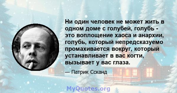 Ни один человек не может жить в одном доме с голубей, голубь - это воплощение хаоса и анархии, голубь, который непредсказуемо промахивается вокруг, который устанавливает в вас когти, вызывает у вас глаза.