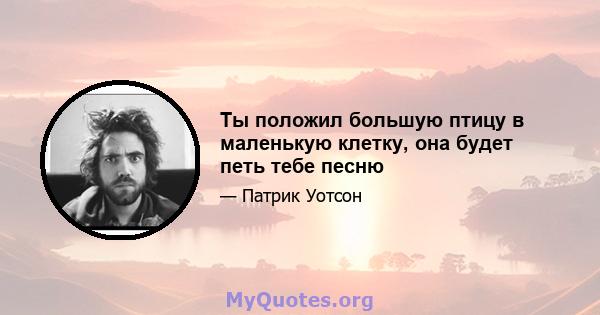 Ты положил большую птицу в маленькую клетку, она будет петь тебе песню