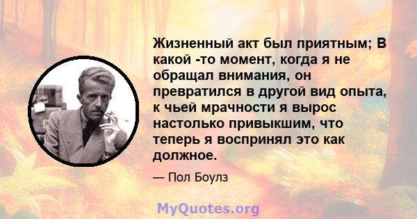 Жизненный акт был приятным; В какой -то момент, когда я не обращал внимания, он превратился в другой вид опыта, к чьей мрачности я вырос настолько привыкшим, что теперь я воспринял это как должное.