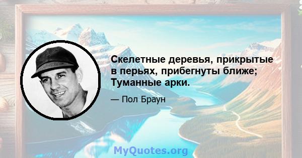 Скелетные деревья, прикрытые в перьях, прибегнуты ближе; Туманные арки.