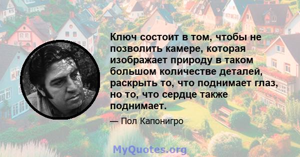 Ключ состоит в том, чтобы не позволить камере, которая изображает природу в таком большом количестве деталей, раскрыть то, что поднимает глаз, но то, что сердце также поднимает.