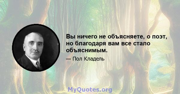 Вы ничего не объясняете, о поэт, но благодаря вам все стало объяснимым.