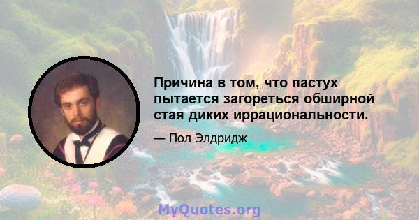 Причина в том, что пастух пытается загореться обширной стая диких иррациональности.