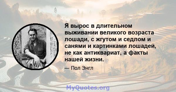 Я вырос в длительном выживании великого возраста лошади, с жгутом и седлом и санями и картинками лошадей, не как антиквариат, а факты нашей жизни.