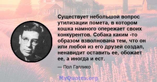 Существует небольшой вопрос утилизации помета, в котором кошка намного опережает своих конкурентов. Собака каким -то образом взволнована тем, что он или любой из его друзей создал, ненавидит оставить ее, обожает ее, а