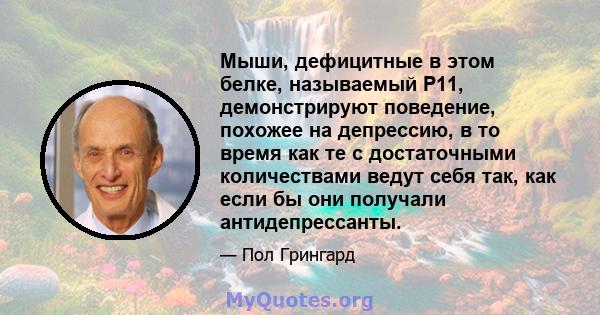 Мыши, дефицитные в этом белке, называемый P11, демонстрируют поведение, похожее на депрессию, в то время как те с достаточными количествами ведут себя так, как если бы они получали антидепрессанты.