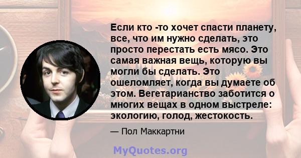 Если кто -то хочет спасти планету, все, что им нужно сделать, это просто перестать есть мясо. Это самая важная вещь, которую вы могли бы сделать. Это ошеломляет, когда вы думаете об этом. Вегетарианство заботится о