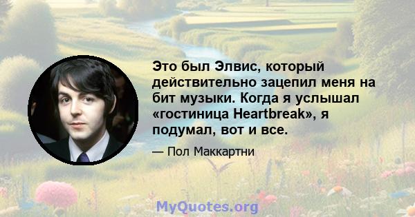 Это был Элвис, который действительно зацепил меня на бит музыки. Когда я услышал «гостиница Heartbreak», я подумал, вот и все.