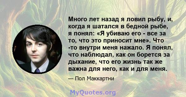 Много лет назад я ловил рыбу, и, когда я шатался в бедной рыбе, я понял: «Я убиваю его - все за то, что это приносит мне». Что -то внутри меня нажало. Я понял, что наблюдал, как он борется за дыхание, что его жизнь так