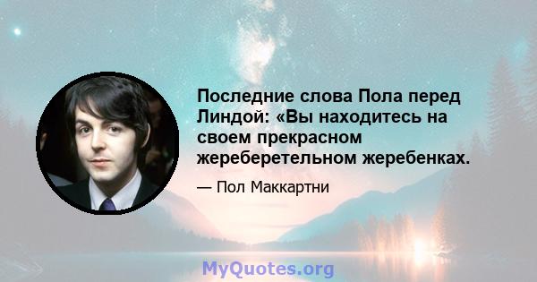 Последние слова Пола перед Линдой: «Вы находитесь на своем прекрасном жереберетельном жеребенках.