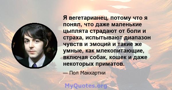 Я вегетарианец, потому что я понял, что даже маленькие цыплята страдают от боли и страха, испытывают диапазон чувств и эмоций и такие же умные, как млекопитающие, включая собак, кошек и даже некоторых приматов.