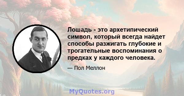 Лошадь - это архетипический символ, который всегда найдет способы разжигать глубокие и трогательные воспоминания о предках у каждого человека.