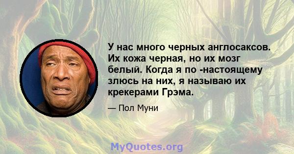 У нас много черных англосаксов. Их кожа черная, но их мозг белый. Когда я по -настоящему злюсь на них, я называю их крекерами Грэма.