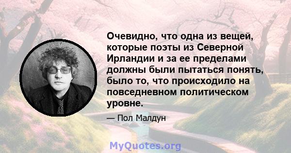 Очевидно, что одна из вещей, которые поэты из Северной Ирландии и за ее пределами должны были пытаться понять, было то, что происходило на повседневном политическом уровне.