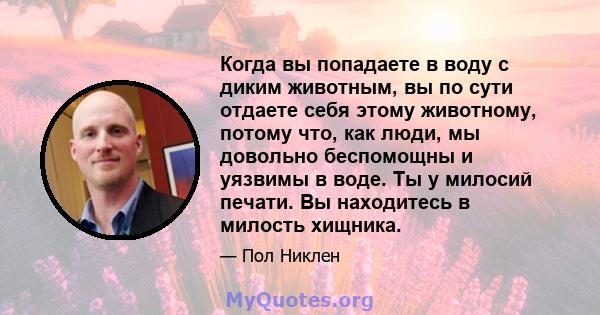 Когда вы попадаете в воду с диким животным, вы по сути отдаете себя этому животному, потому что, как люди, мы довольно беспомощны и уязвимы в воде. Ты у милосий печати. Вы находитесь в милость хищника.