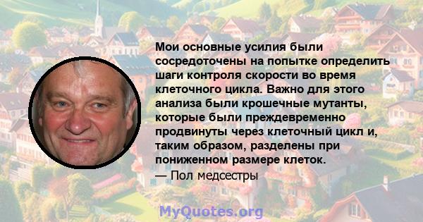 Мои основные усилия были сосредоточены на попытке определить шаги контроля скорости во время клеточного цикла. Важно для этого анализа были крошечные мутанты, которые были преждевременно продвинуты через клеточный цикл