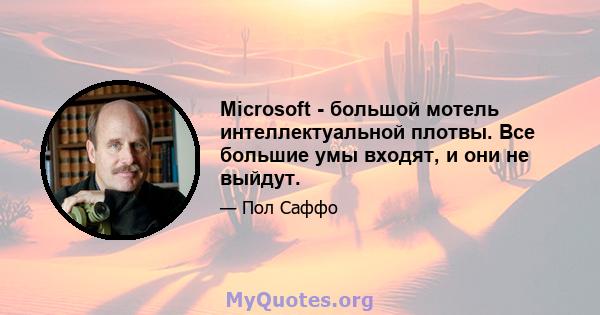 Microsoft - большой мотель интеллектуальной плотвы. Все большие умы входят, и они не выйдут.