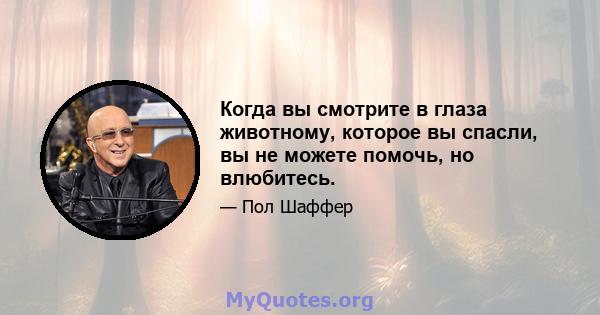 Когда вы смотрите в глаза животному, которое вы спасли, вы не можете помочь, но влюбитесь.