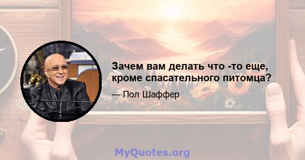 Зачем вам делать что -то еще, кроме спасательного питомца?