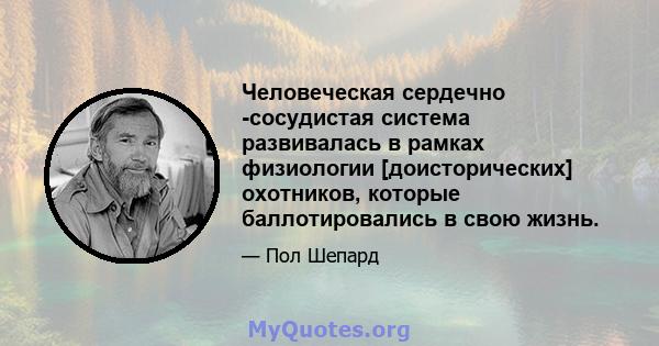 Человеческая сердечно -сосудистая система развивалась в рамках физиологии [доисторических] охотников, которые баллотировались в свою жизнь.