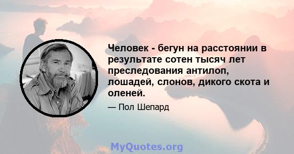 Человек - бегун на расстоянии в результате сотен тысяч лет преследования антилоп, лошадей, слонов, дикого скота и оленей.