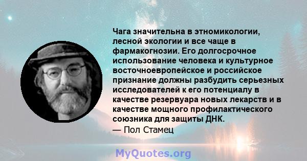 Чага значительна в этномикологии, лесной экологии и все чаще в фармакогнозии. Его долгосрочное использование человека и культурное восточноевропейское и российское признание должны разбудить серьезных исследователей к