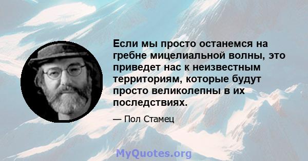 Если мы просто останемся на гребне мицелиальной волны, это приведет нас к неизвестным территориям, которые будут просто великолепны в их последствиях.