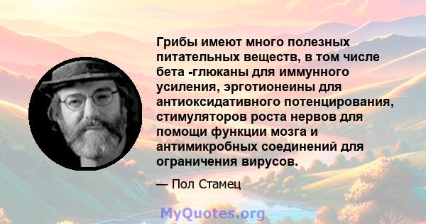 Грибы имеют много полезных питательных веществ, в том числе бета -глюканы для иммунного усиления, эрготионеины для антиоксидативного потенцирования, стимуляторов роста нервов для помощи функции мозга и антимикробных