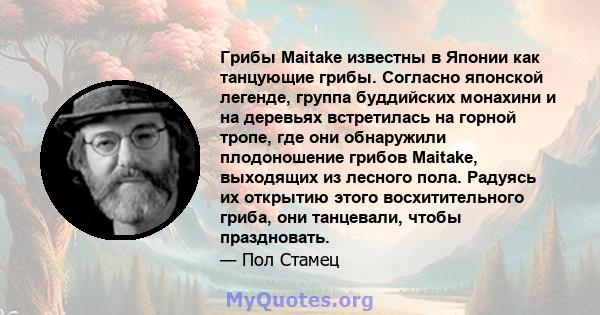 Грибы Maitake известны в Японии как танцующие грибы. Согласно японской легенде, группа буддийских монахини и на деревьях встретилась на горной тропе, где они обнаружили плодоношение грибов Maitake, выходящих из лесного