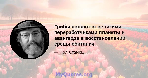 Грибы являются великими переработчиками планеты и авангарда в восстановлении среды обитания.