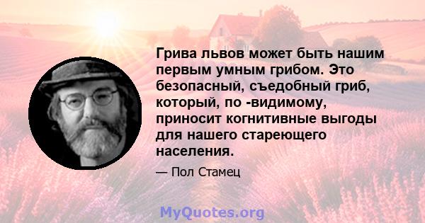 Грива львов может быть нашим первым умным грибом. Это безопасный, съедобный гриб, который, по -видимому, приносит когнитивные выгоды для нашего стареющего населения.