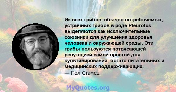 Из всех грибов, обычно потребляемых, устричных грибов в роде Pleurotus выделяются как исключительные союзники для улучшения здоровья человека и окружающей среды. Эти грибы пользуются потрясающей репутацией самой простой 