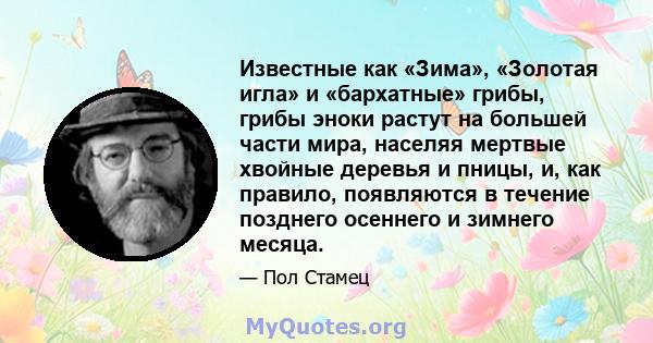 Известные как «Зима», «Золотая игла» и «бархатные» грибы, грибы эноки растут на большей части мира, населяя мертвые хвойные деревья и пницы, и, как правило, появляются в течение позднего осеннего и зимнего месяца.