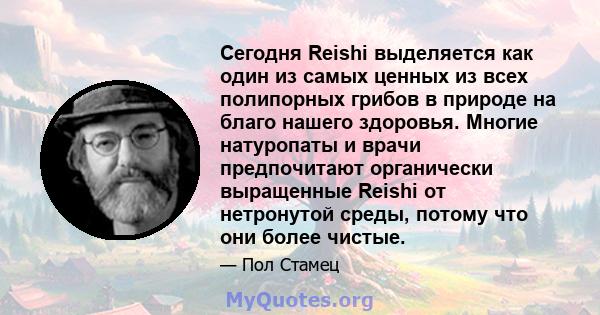 Сегодня Reishi выделяется как один из самых ценных из всех полипорных грибов в природе на благо нашего здоровья. Многие натуропаты и врачи предпочитают органически выращенные Reishi от нетронутой среды, потому что они