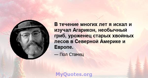 В течение многих лет я искал и изучал Агарикон, необычный гриб, уроженец старых хвойных лесов в Северной Америке и Европе.