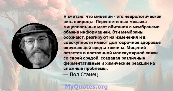 Я считаю, что мицелий - это неврологическая сеть природы. Переплетенная мозаика мицелиальных мест обитания с мембранами обмена информацией. Эти мембраны осознают, реагируют на изменения и в совокупности имеют