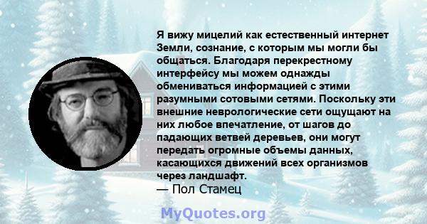 Я вижу мицелий как естественный интернет Земли, сознание, с которым мы могли бы общаться. Благодаря перекрестному интерфейсу мы можем однажды обмениваться информацией с этими разумными сотовыми сетями. Поскольку эти