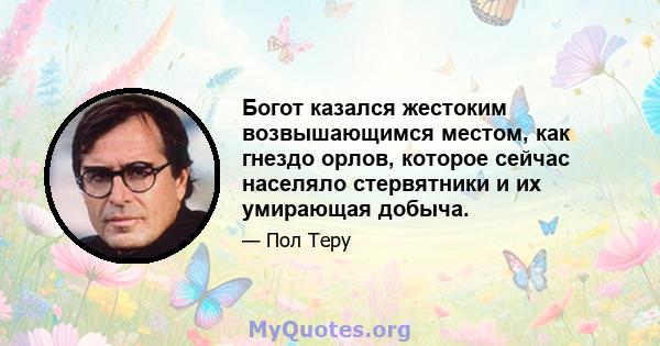 Богот казался жестоким возвышающимся местом, как гнездо орлов, которое сейчас населяло стервятники и их умирающая добыча.