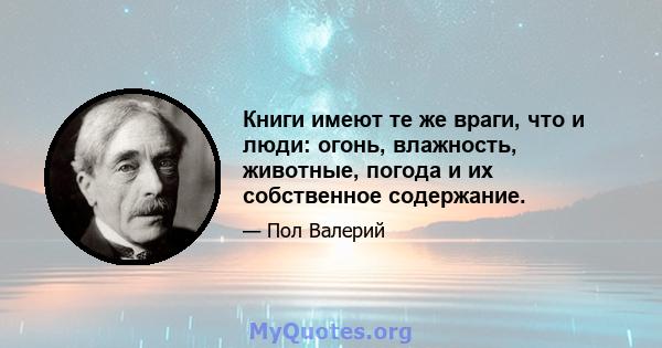 Книги имеют те же враги, что и люди: огонь, влажность, животные, погода и их собственное содержание.