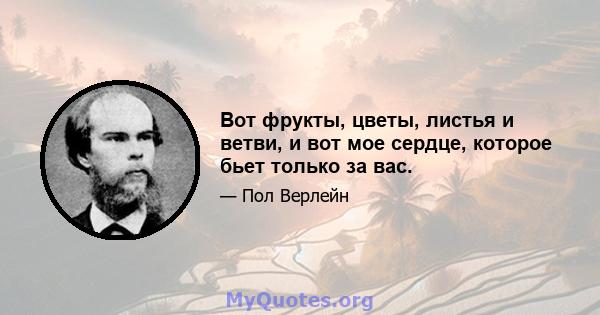 Вот фрукты, цветы, листья и ветви, и вот мое сердце, которое бьет только за вас.